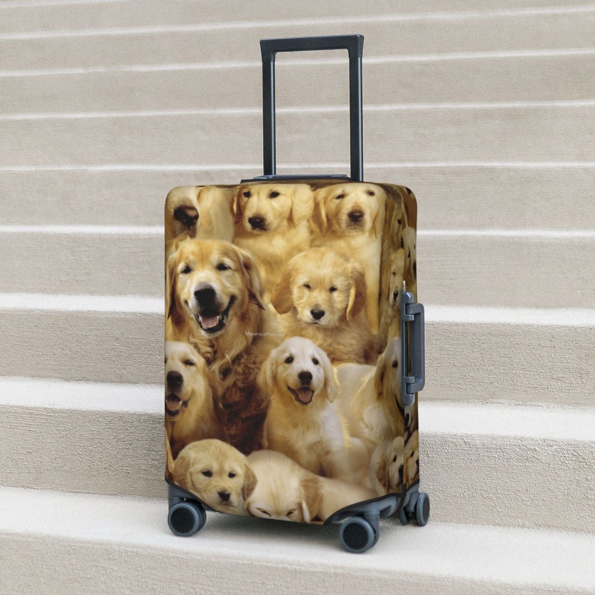 Altın Köpek Bavul Kapağı Hayva - Travel Accessories To 3D Print incelemesi ve fiyatı